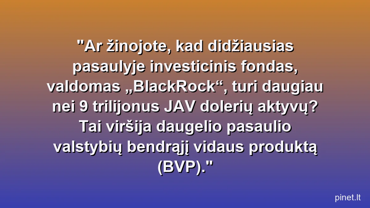 Ar žinojote, kad didžiausias pasaulyje investicinis fondas, valdomas „BlackRock“, turi daugiau nei 9 trilijonus JAV dolerių aktyvų? Tai viršija daugelio pasaulio valstybių bendrąjį vidaus produktą (BVP).