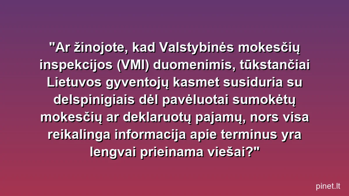 Ar žinojote, kad Valstybinės mokesčių inspekcijos (VMI) duomenimis, tūkstančiai Lietuvos gyventojų kasmet susiduria su delspinigiais dėl pavėluotai sumokėtų mokesčių ar deklaruotų pajamų, nors visa reikalinga informacija apie terminus yra lengvai prieinama viešai?