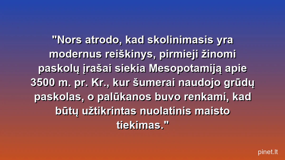 Nors atrodo, kad skolinimasis yra modernus reiškinys, pirmieji žinomi paskolų įrašai siekia Mesopotamiją apie 3500 m. pr. Kr., kur šumerai naudojo grūdų paskolas, o palūkanos buvo renkami, kad būtų užtikrintas nuolatinis maisto tiekimas.