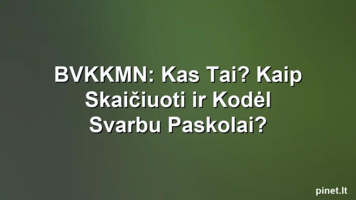 Iliustracija straipsniui: BVKKMN: Kas Tai? Kaip Skaičiuoti ir Kodėl Svarbu Paskolai?