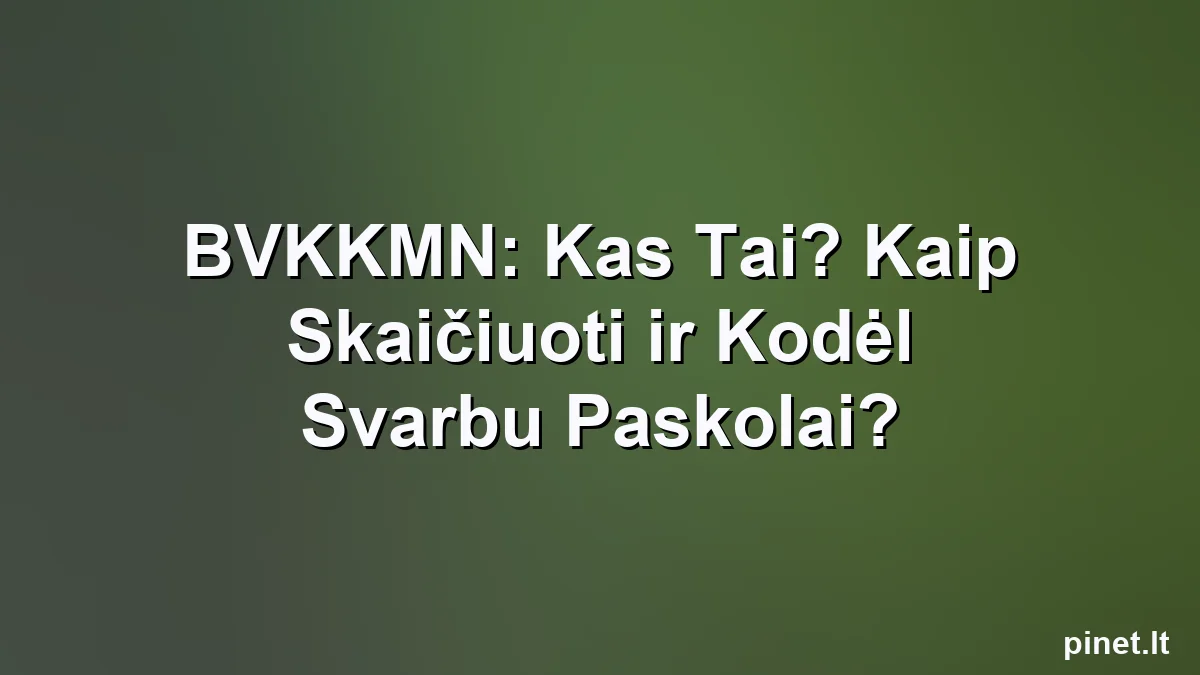 Iliustracija straipsniui: BVKKMN: Kas Tai? Kaip Skaičiuoti ir Kodėl Svarbu Paskolai?