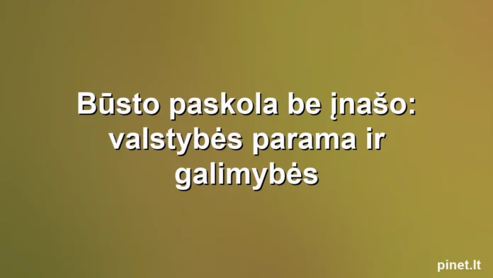 Iliustracija straipsniui: Būsto paskola be įnašo: valstybės parama ir galimybės