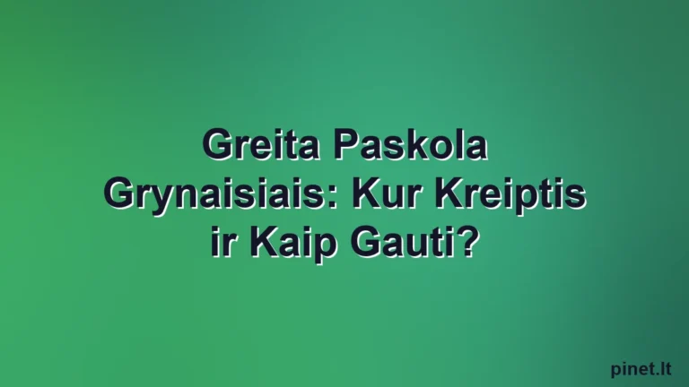 Iliustracija straipsniui: Greita Paskola Grynaisiais: Kur Kreiptis ir Kaip Gauti?