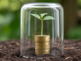 Mažas sodinukas, augantis iš krūvos euro monetų, apsaugotų stikliniu skydu.