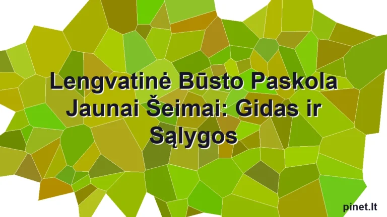 Iliustracija straipsniui: Lengvatinė Būsto Paskola Jaunai Šeimai: Gidas ir Sąlygos