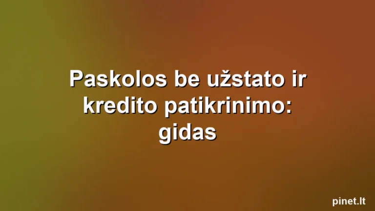 Iliustracija straipsniui: Paskolos be užstato ir kredito patikrinimo: gidas