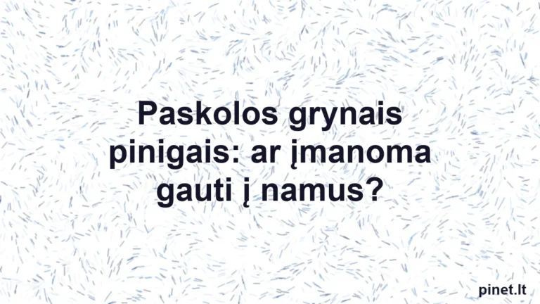 Iliustracija straipsniui: Paskolos grynais pinigais: ar įmanoma gauti į namus?