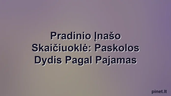 Iliustracija straipsniui: Pradinio Įnašo Skaičiuoklė: Paskolos Dydis Pagal Pajamas