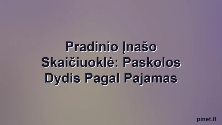 Iliustracija straipsniui: Pradinio Įnašo Skaičiuoklė: Paskolos Dydis Pagal Pajamas