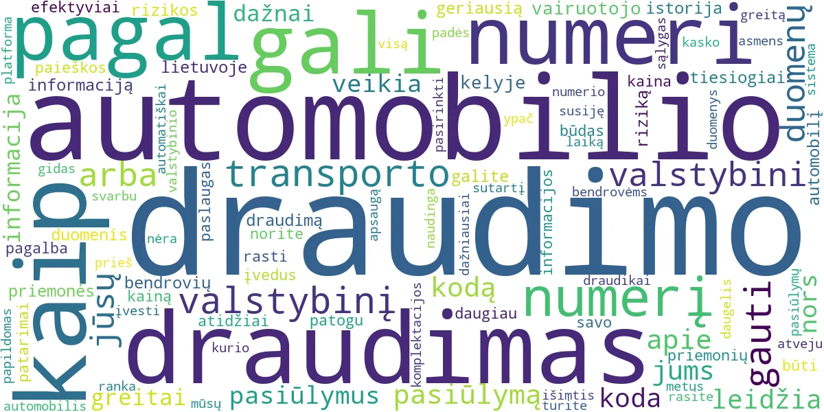 Word cloud for article: Auto Draudimas Pagal VIN ar Numerį: Raskite Greitai!