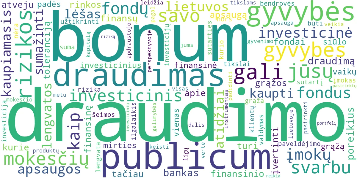 Word cloud for article: Bonum Publicum Gyvybės Draudimas: Investicijos ir Gidas
