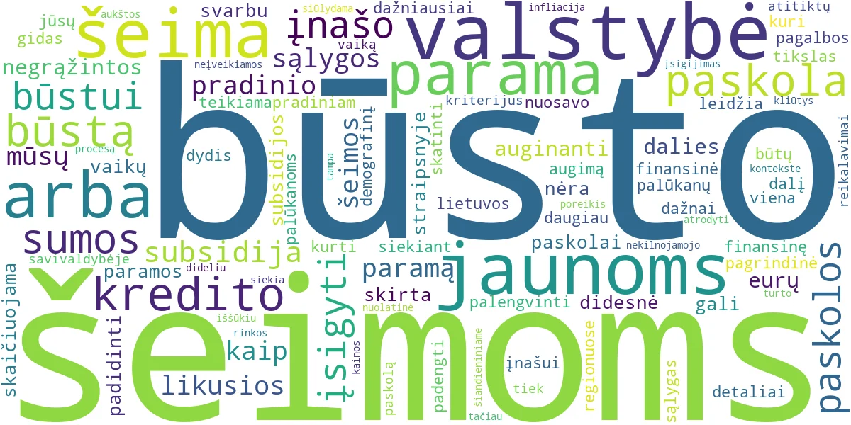 Word cloud for article: Būsto Paskola Jaunoms Šeimoms: Valstybės Parama ir Sąlygos