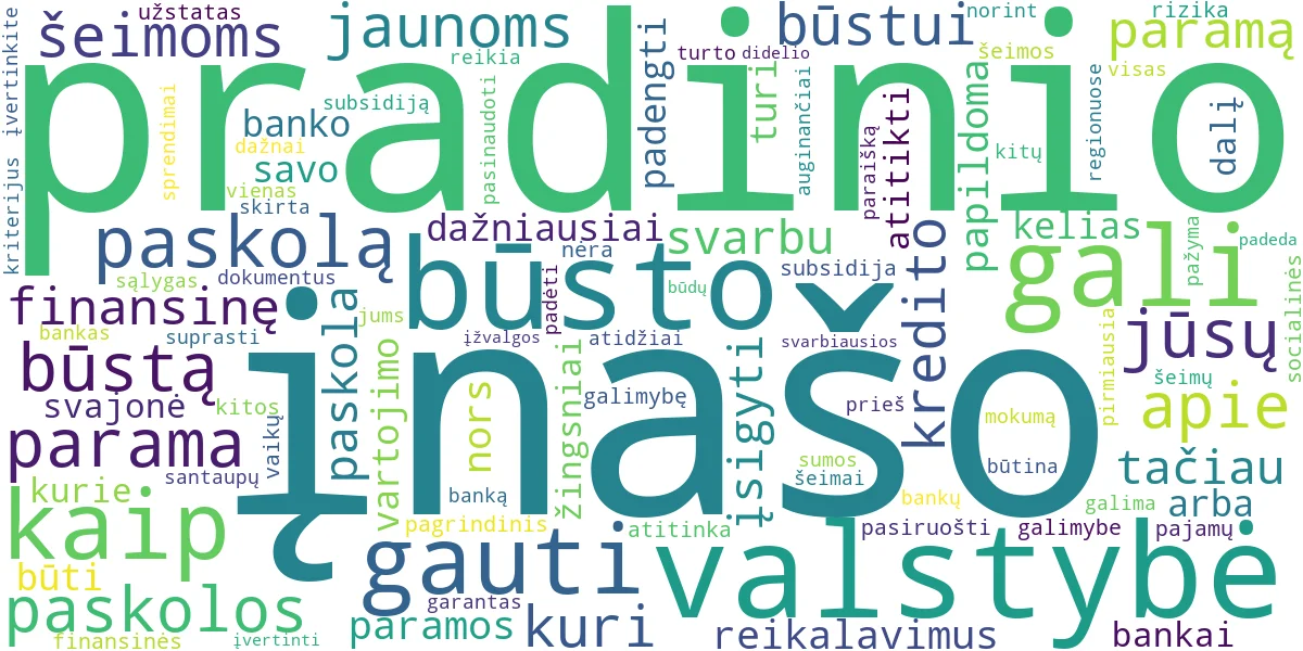 Word cloud for article: Būsto paskola be įnašo: valstybės parama ir galimybės