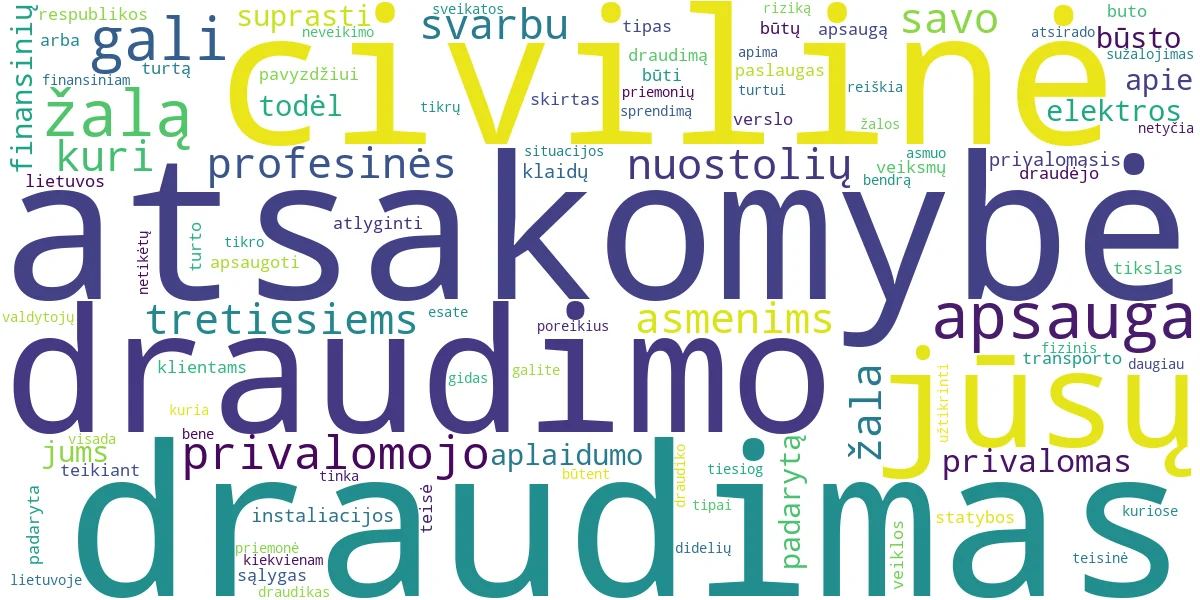 Word cloud for article: Civilinės Atsakomybės Draudimas: Kuris Tipas Tinka Jums?