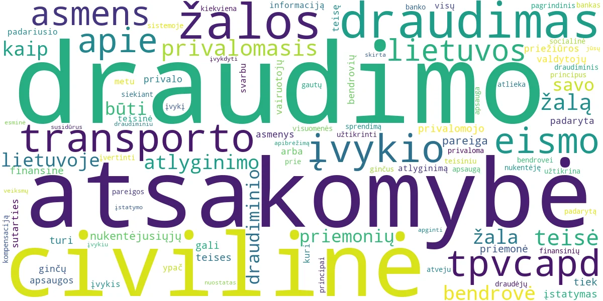 Word cloud for article: Civilinės Atsakomybės Draudimas: Teisiniai Aspektai