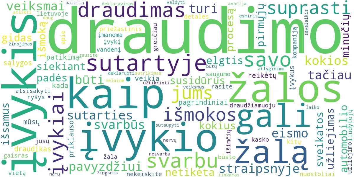 Word cloud for article: Draudimo Įvykiai: Kaip Deklaruoti ir Valdyti Žalą?