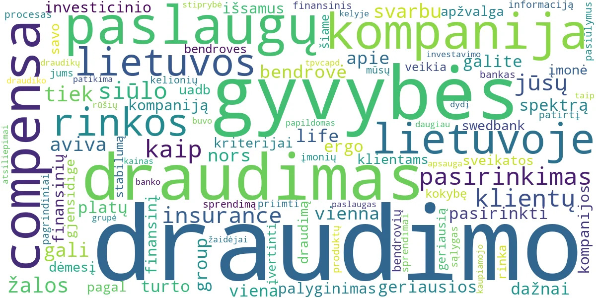 Word cloud for article: Geriausios Draudimo Kompanijos: Palyginimas ir Pasirinkimas