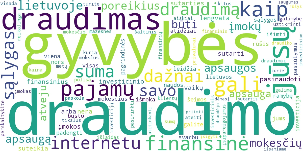 Word cloud for article: Gyvybės Draudimas: Gidas Jūsų Finansinei Ateičiai