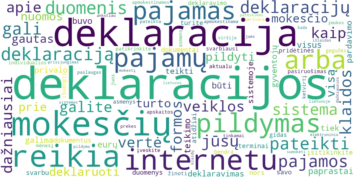 Word cloud for article: Kaip Pildyti Deklaracijas Internetu? GPM ir PVM Gidas