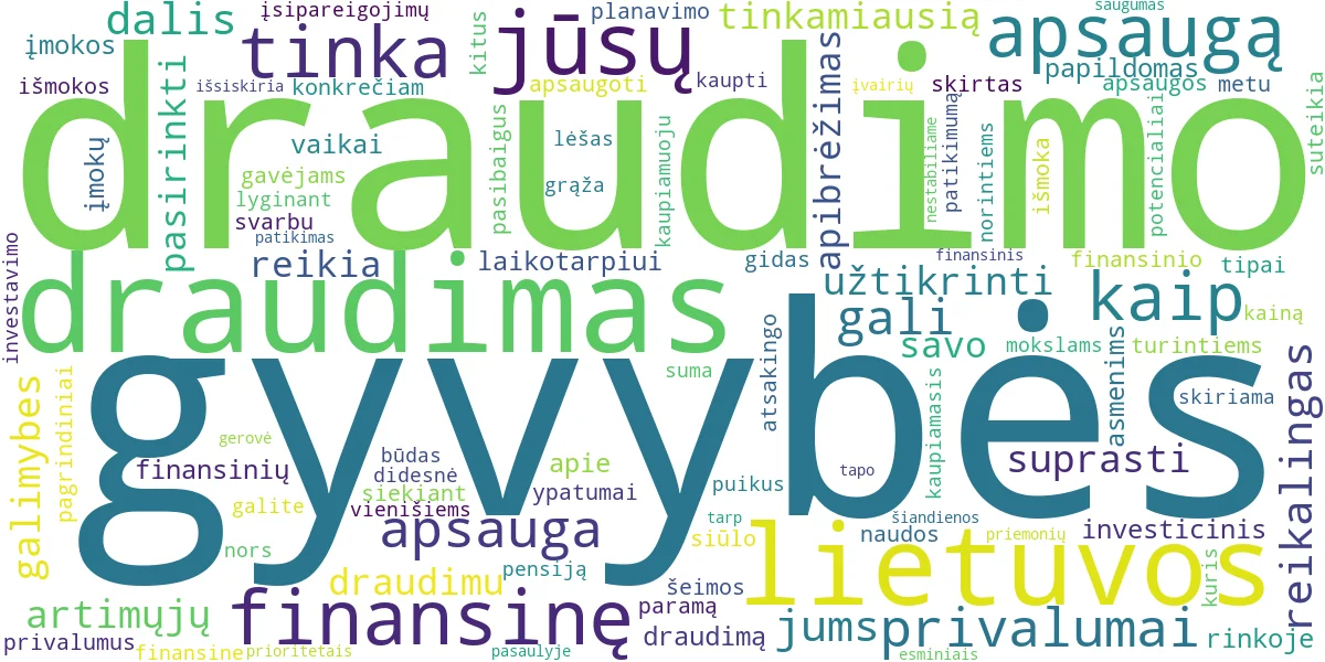 Word cloud for article: Lietuvos Draudimo Gyvybės Draudimas: Jūsų Apsaugai