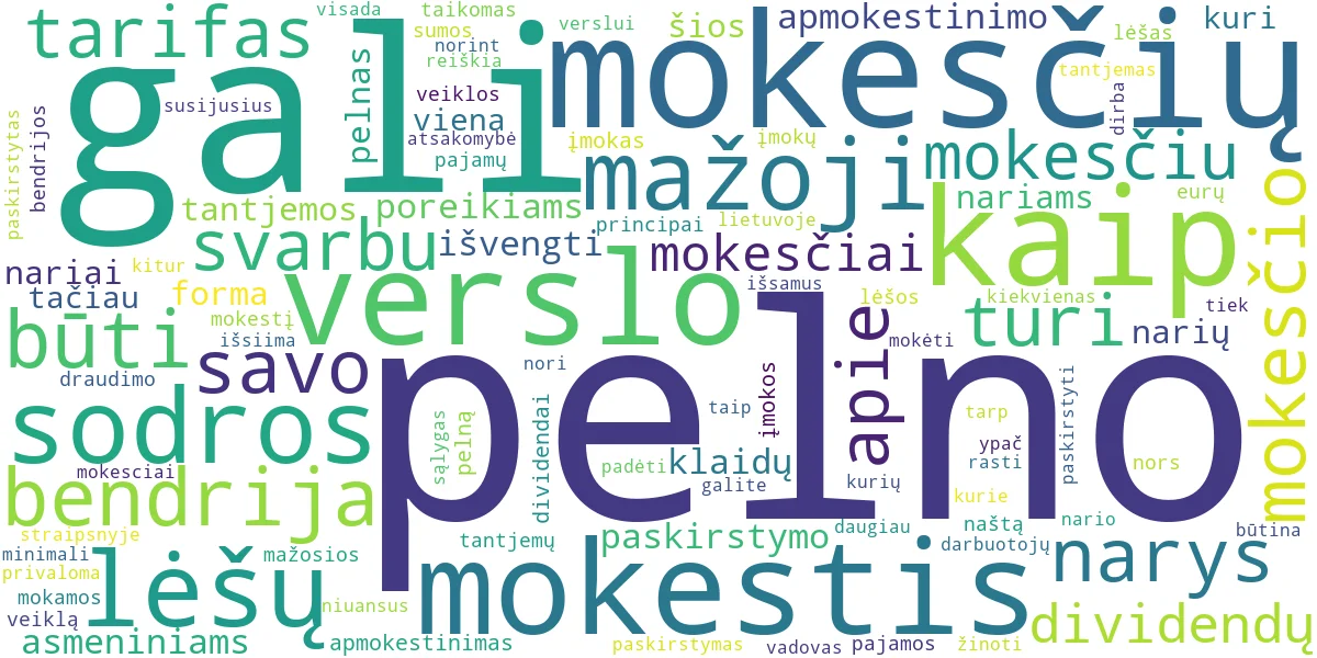 Word cloud for article: MB Mokesčiai ir Pelno Paskirstymas: Išsamus Vadovas