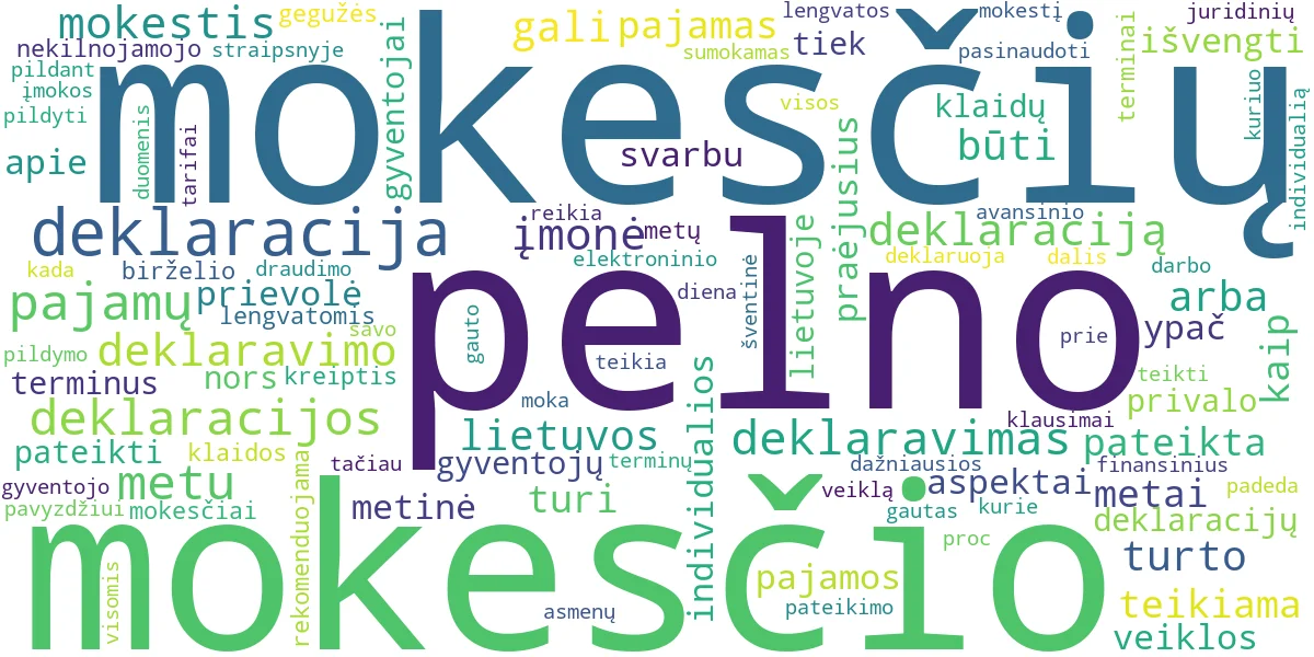 Word cloud for article: Mokesčių Deklaracijos: Pajamos, Pelnas ir Svarbiausi Terminai