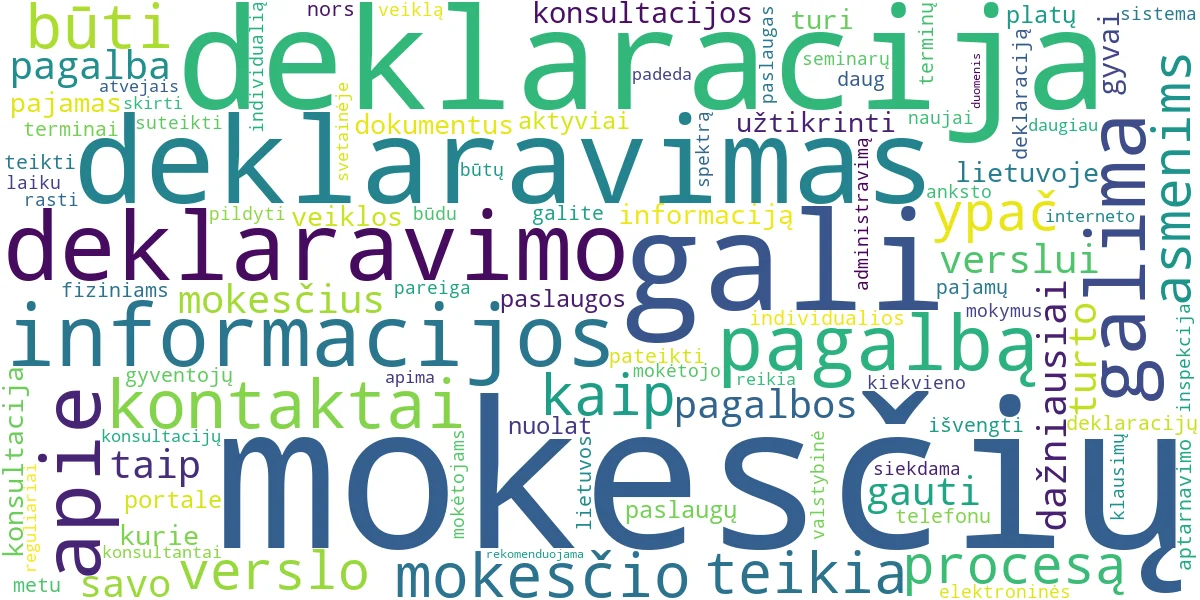 Word cloud for article: Mokesčių Deklaravimas: VMI Pagalba ir Kontaktai