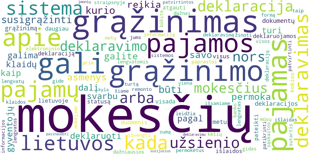 Word cloud for article: Mokesčių Deklaravimas ir Grąžinimas: Išsamus Gidas