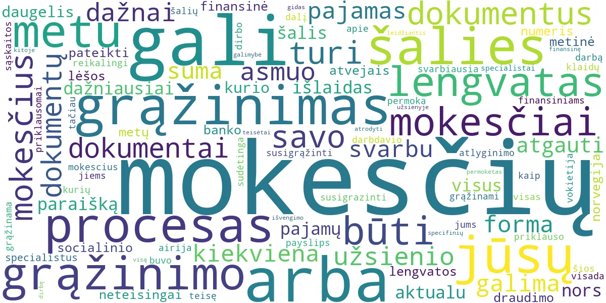 Word cloud for article: Mokesčių Grąžinimas iš Užsienio: Detalus Gidas