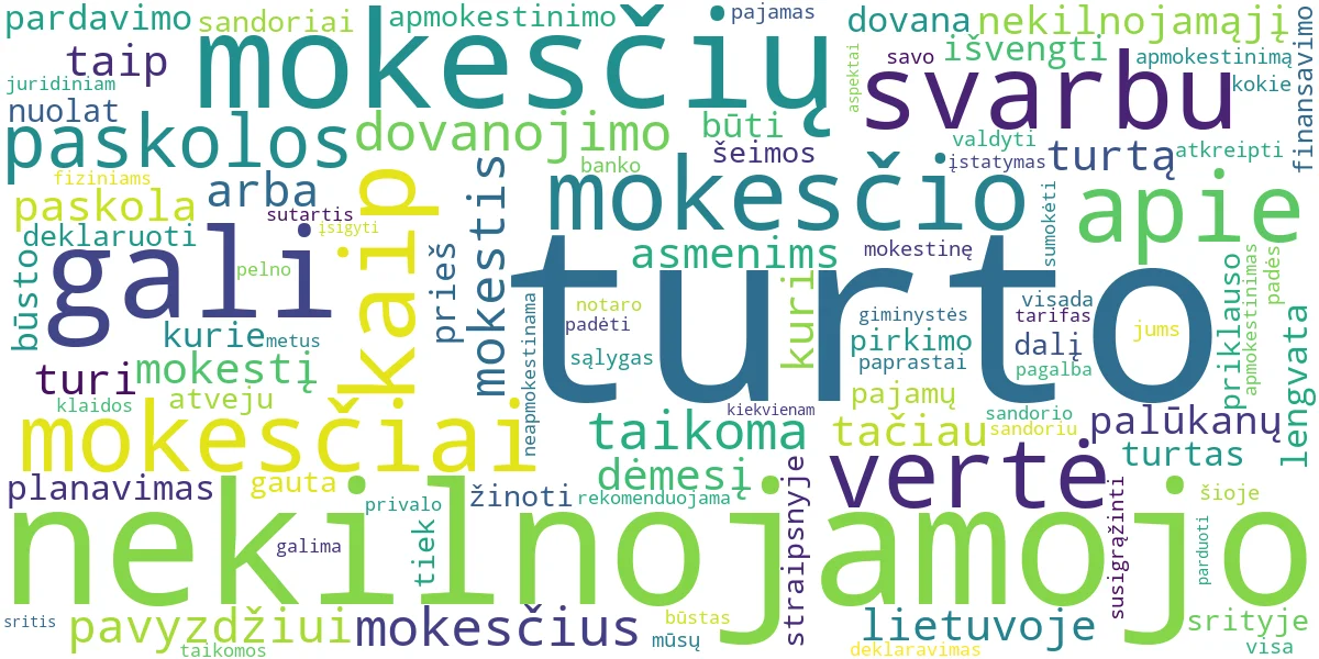 Word cloud for article: NT Apmokestinimas ir Finansavimas: Paskolos ir Dovanos
