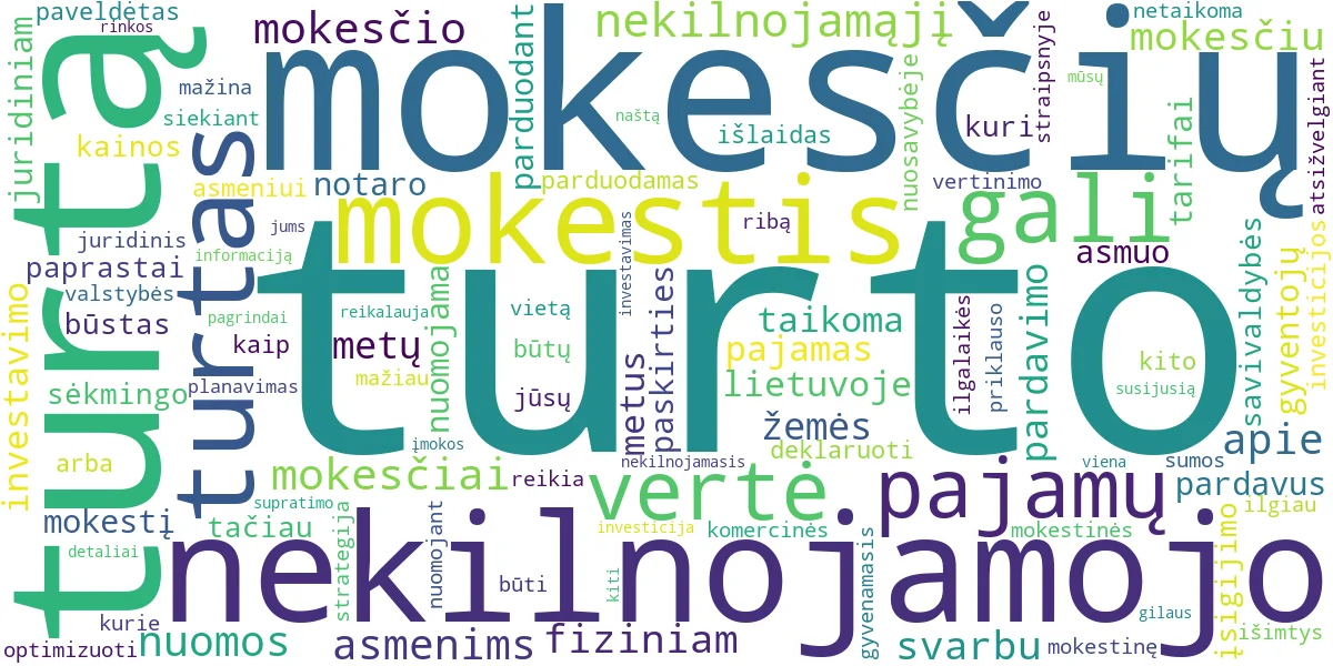 Word cloud for article: NT Investicijos ir Mokesčiai: Gidas Sėkmingam Investavimui
