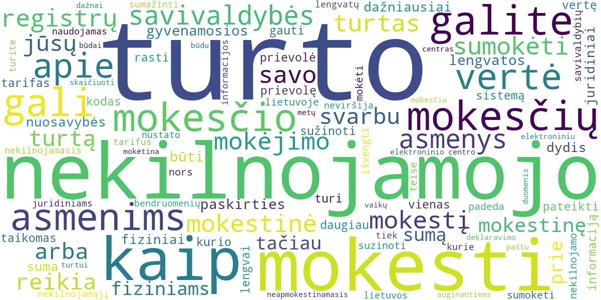 Word cloud for article: NT Mokestis: Kaip Sužinoti Sumą ir Sumokėti Lengvai?