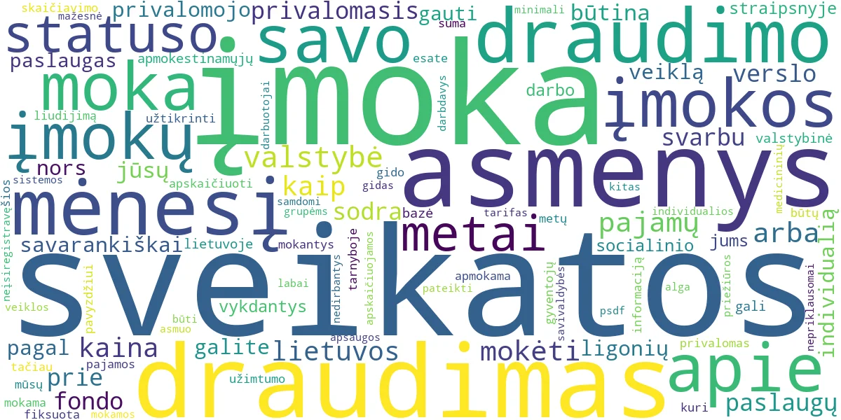 Word cloud for article: PSD Kaina 2024: Kiek Mokėti ir Kaip Apskaičiuoti Įmokas?