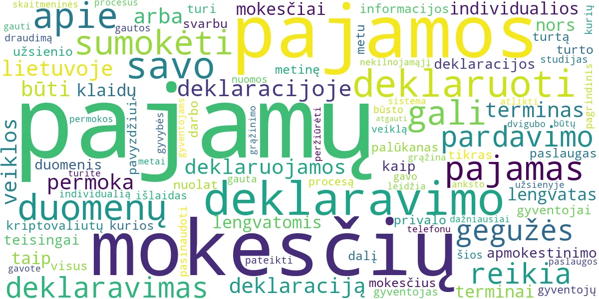 Word cloud for article: Pajamų Deklaravimas: Visi Terminai ir VMI Patarimai