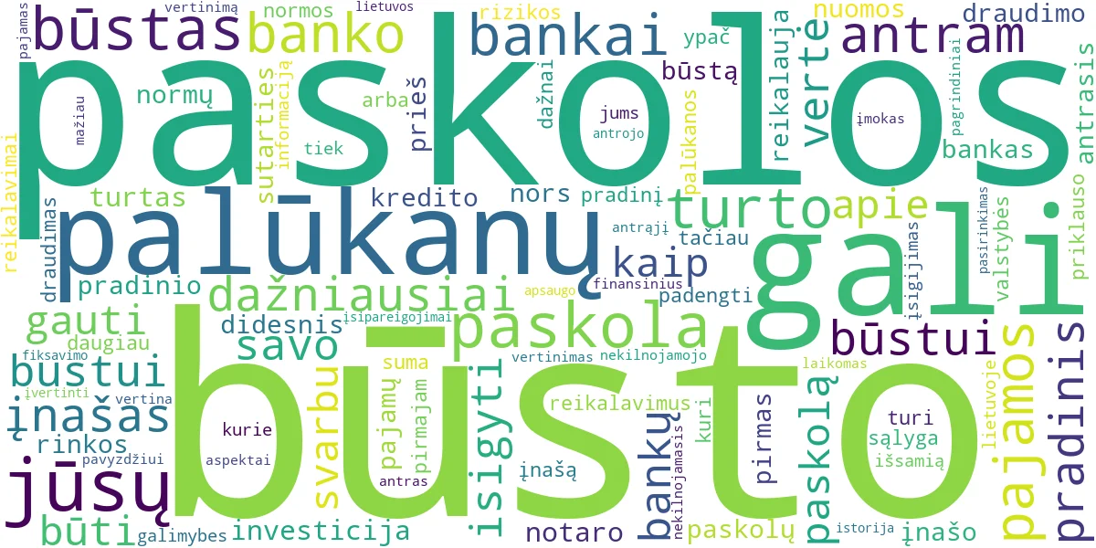 Word cloud for article: Paskola Būstui: Finansavimas Pirmajam ir Antrajam Turtui