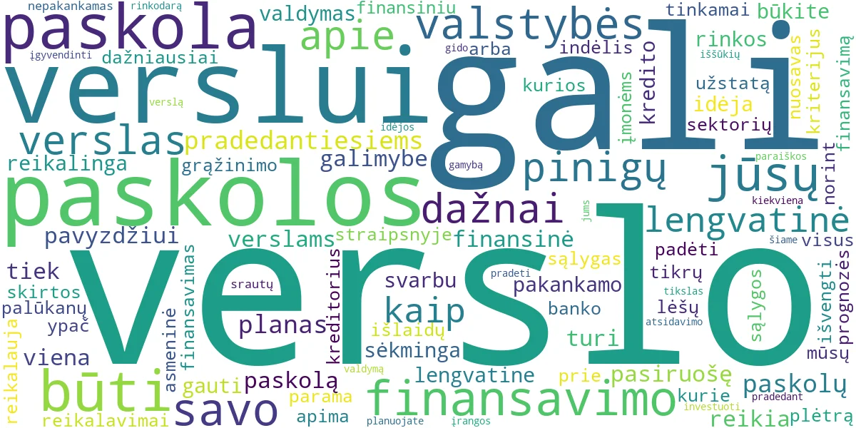 Word cloud for article: Paskola Verslui: Gidas Pradedantiesiems ir Lengvatoms