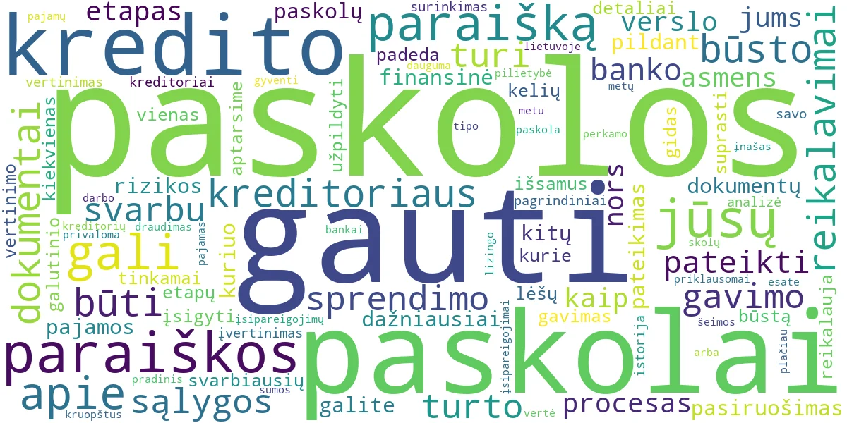 Word cloud for article: Paskolos Gavimo Procesas: Nuo Paraiškos Iki Sprendimo