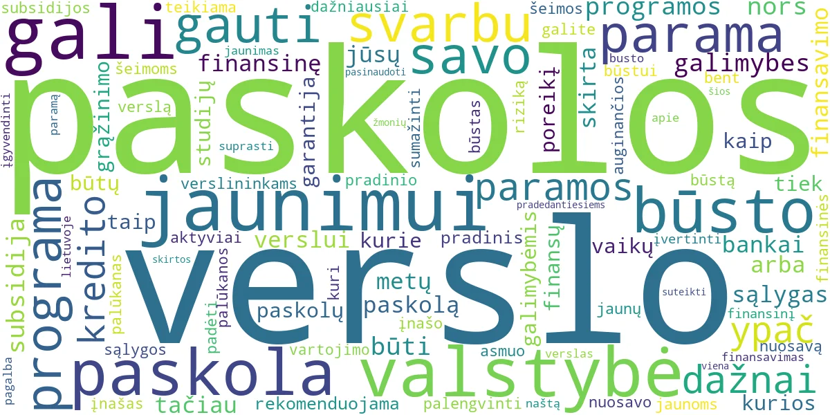 Word cloud for article: Paskolos Jaunimui: Būstas, Verslas ir Valstybės Parama