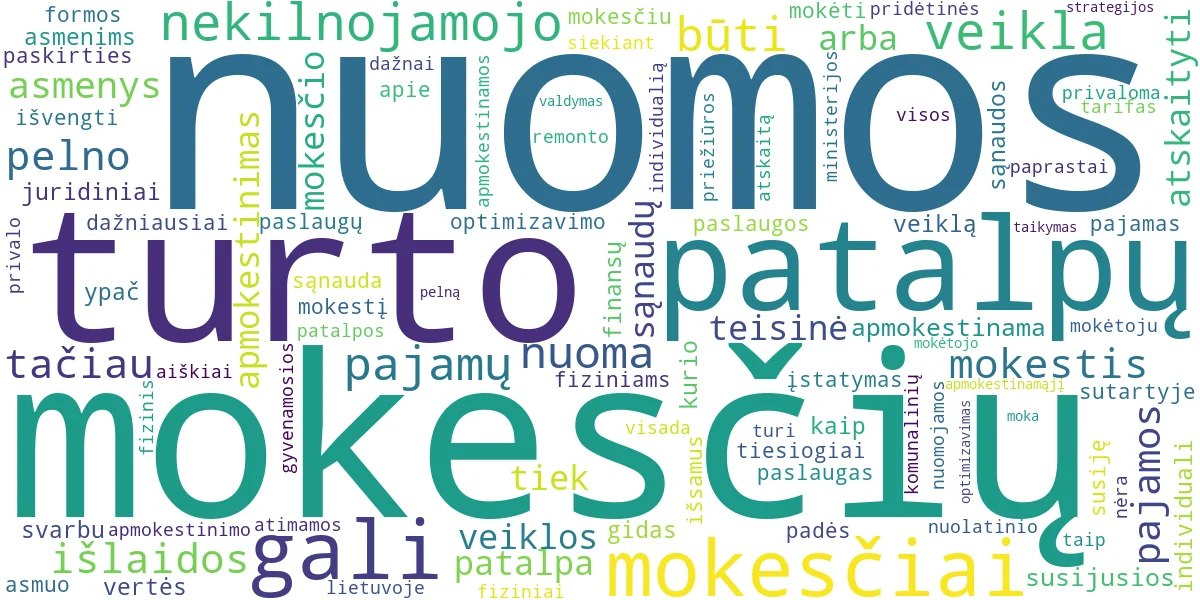 Word cloud for article: Patalpų Nuomos Mokesčiai: Apmokestinimas ir Optimizavimas