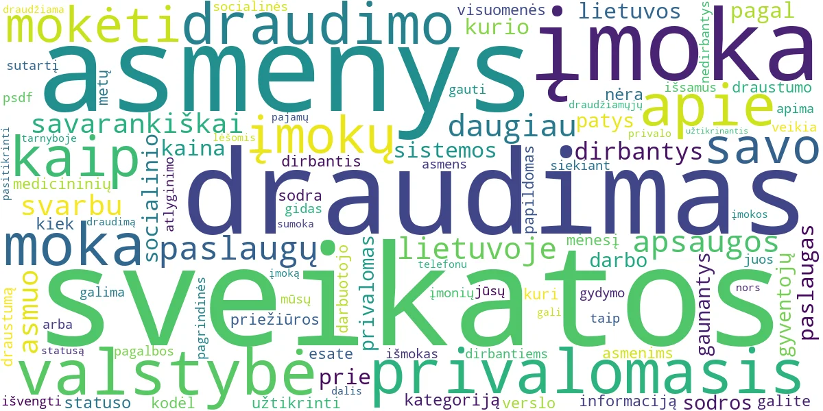 Word cloud for article: Privalomasis Sveikatos Draudimas: Kaina, Kas Moka ir Kodėl?