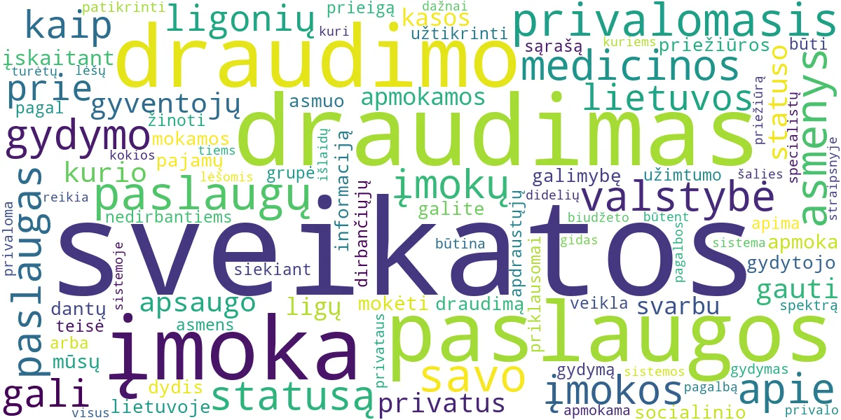 Word cloud for article: Privalomasis Sveikatos Draudimas (PSD): Gidas Jums!