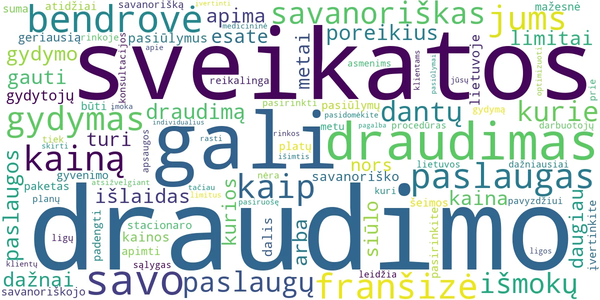 Word cloud for article: Savanoriškas Sveikatos Draudimas: Geriausi Pasiūlymai 2024