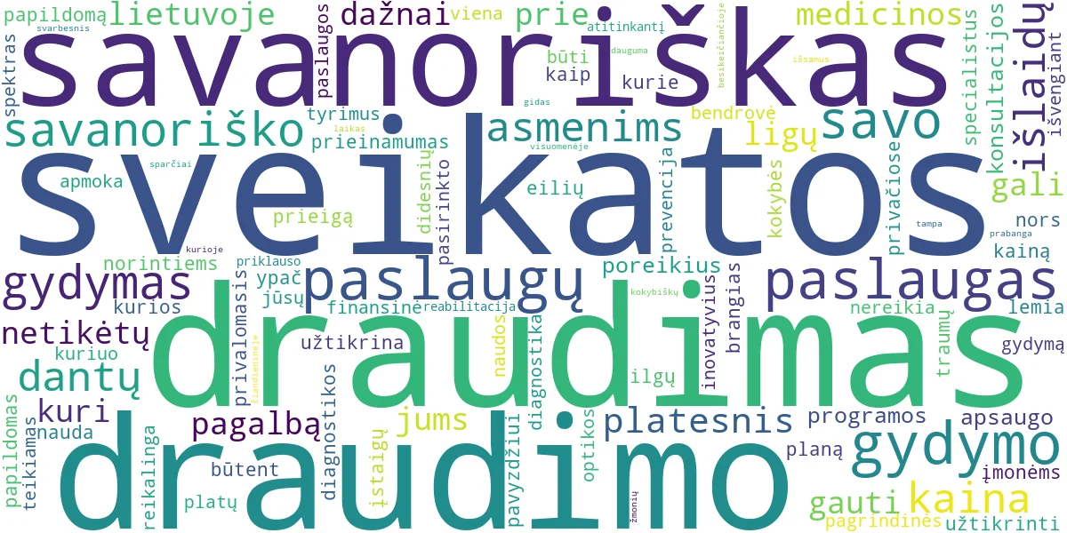 Word cloud for article: Savanoriškas Sveikatos Draudimas: Nauda ir Kaina