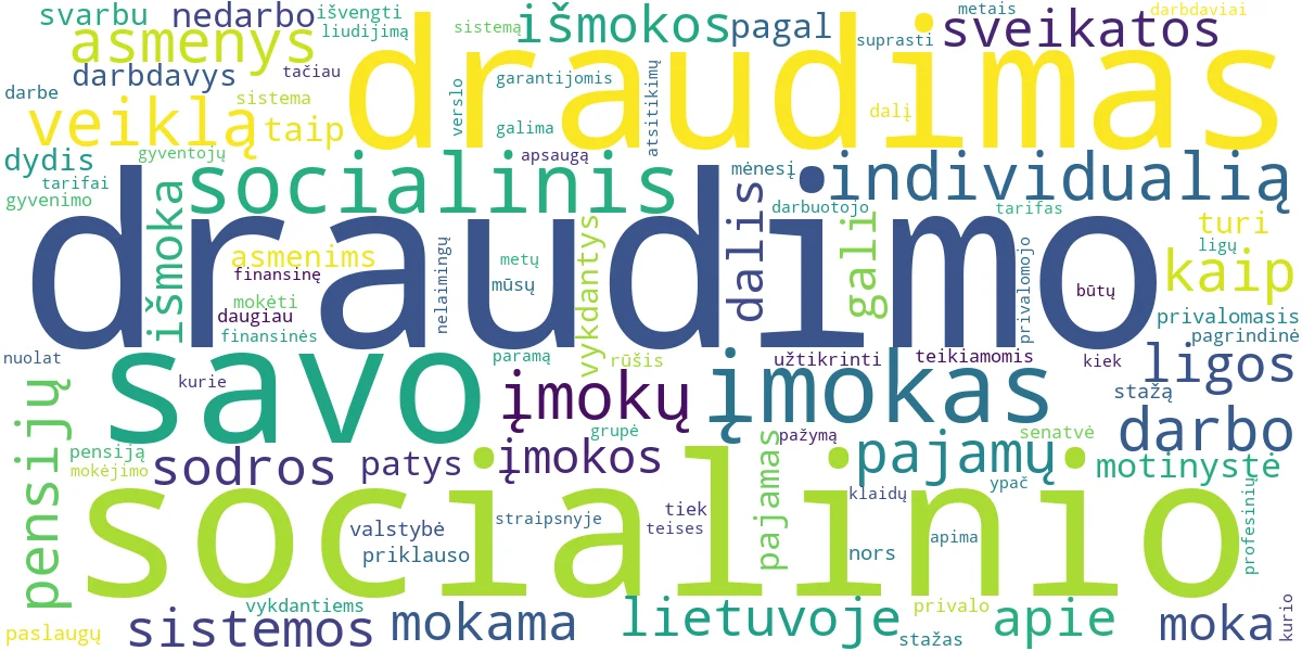 Word cloud for article: Socialinis Draudimas Lietuvoje: Kas, Kam ir Kiek Mokėti?