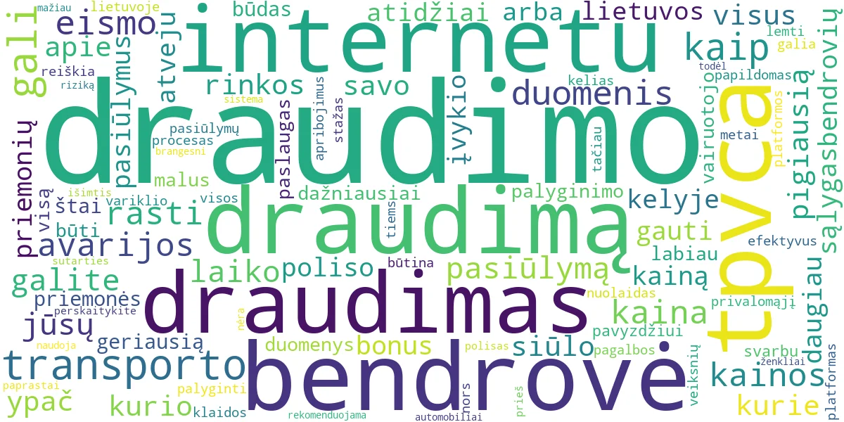 Word cloud for article: TPVCA Draudimas Internetu: Raskite Pigiausią Kainą!