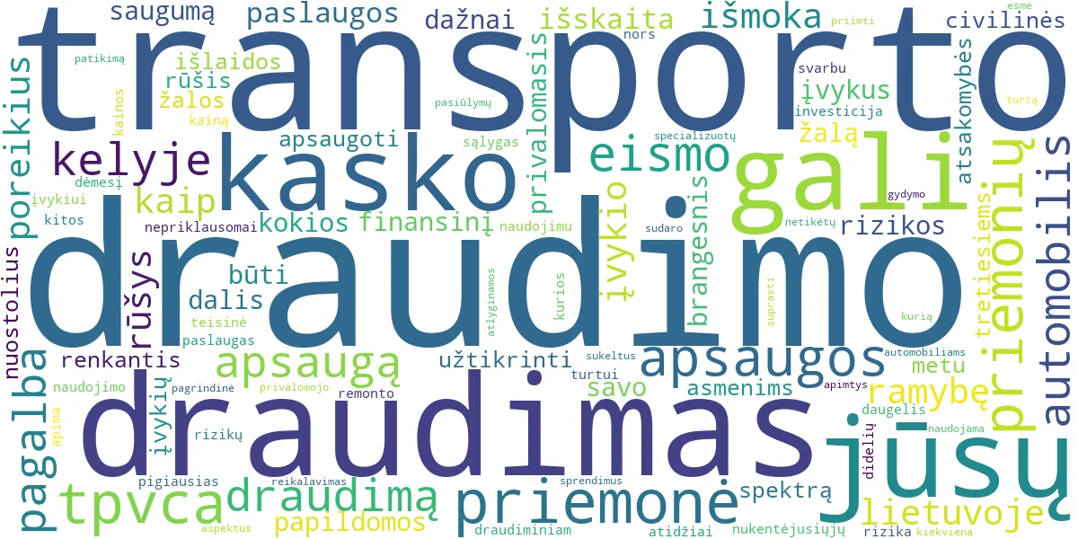 Word cloud for article: Transporto Priemonių Draudimas: Visų Rūšių Gidas
