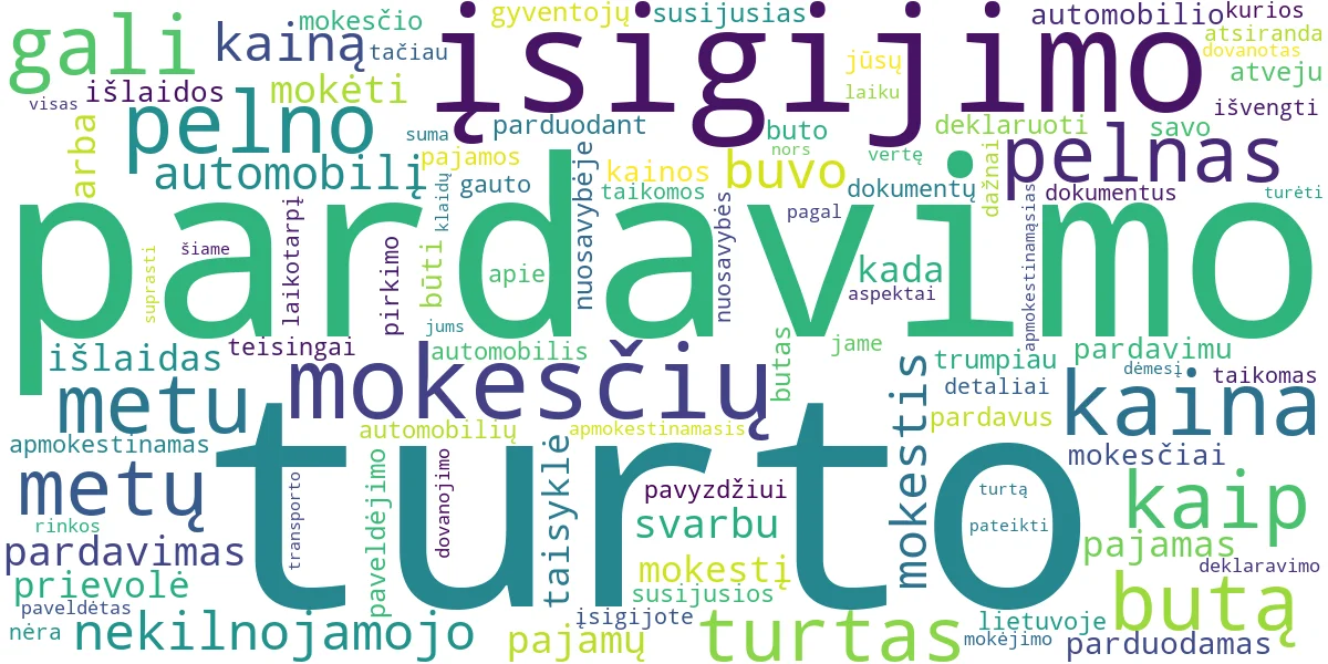 Word cloud for article: Turtas ir Pelno Mokestis: Parduodant Butą ar Automobilį