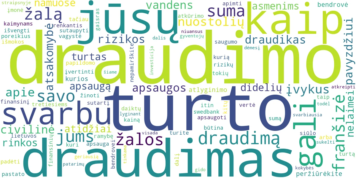Word cloud for article: Turto Draudimas: Gidas, Kaip Išsirinkti ir Sutaupyti