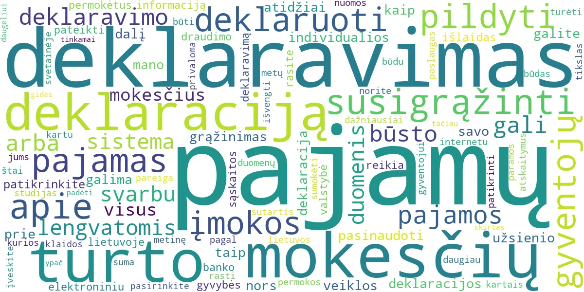 Word cloud for article: VMI Pajamų Deklaravimas: Grąžinimo ir Pildymo Gidas