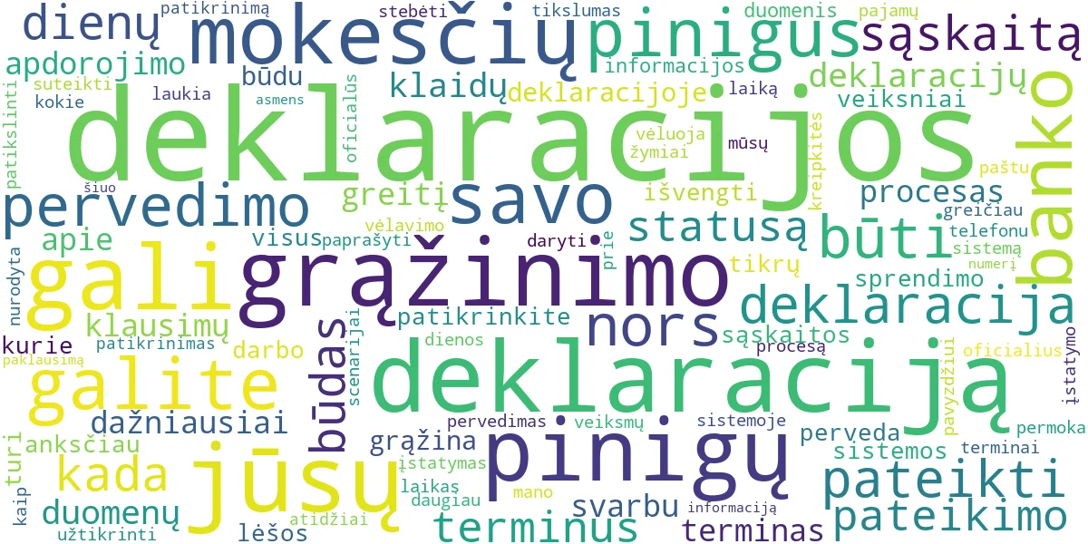 Word cloud for article: VMI Pinigų Pervedimo Terminai: Kada Grąžina Deklaracijos?